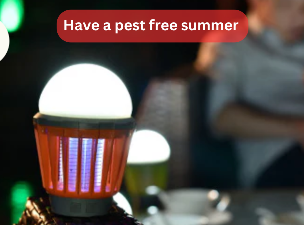 Embrace Summer Nights Without Bugs